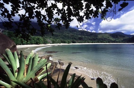 Recanto Tangara - Chale - Praia Do Felix Ubatuba Zewnętrze zdjęcie